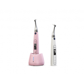 Woodpecker AI-motor. Frste brstelse endo-motor. Mini-hovede