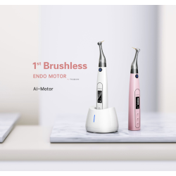 Woodpecker AI-motor. Frste brstelse endo-motor. Mini-hode