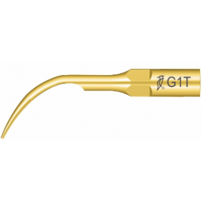 Woodpecker Scalerspiss G1T For EMS Piezon