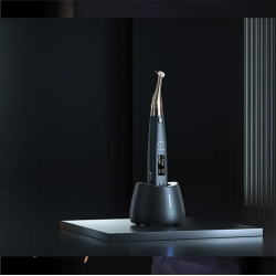 Woodpecker brstels AI-motor. Dr Terauchi. Designed for Experts