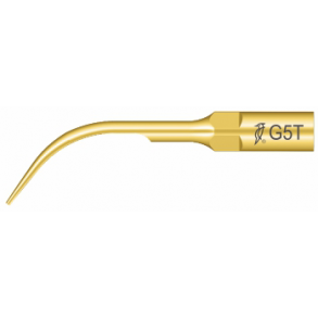 Woodpecker Scalerspiss G5T for EMS Piezon