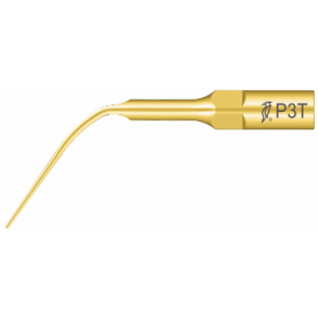 Woodpecker Gracil Scalerspiss P3T (EMS spiss PS) for EMS Piezon